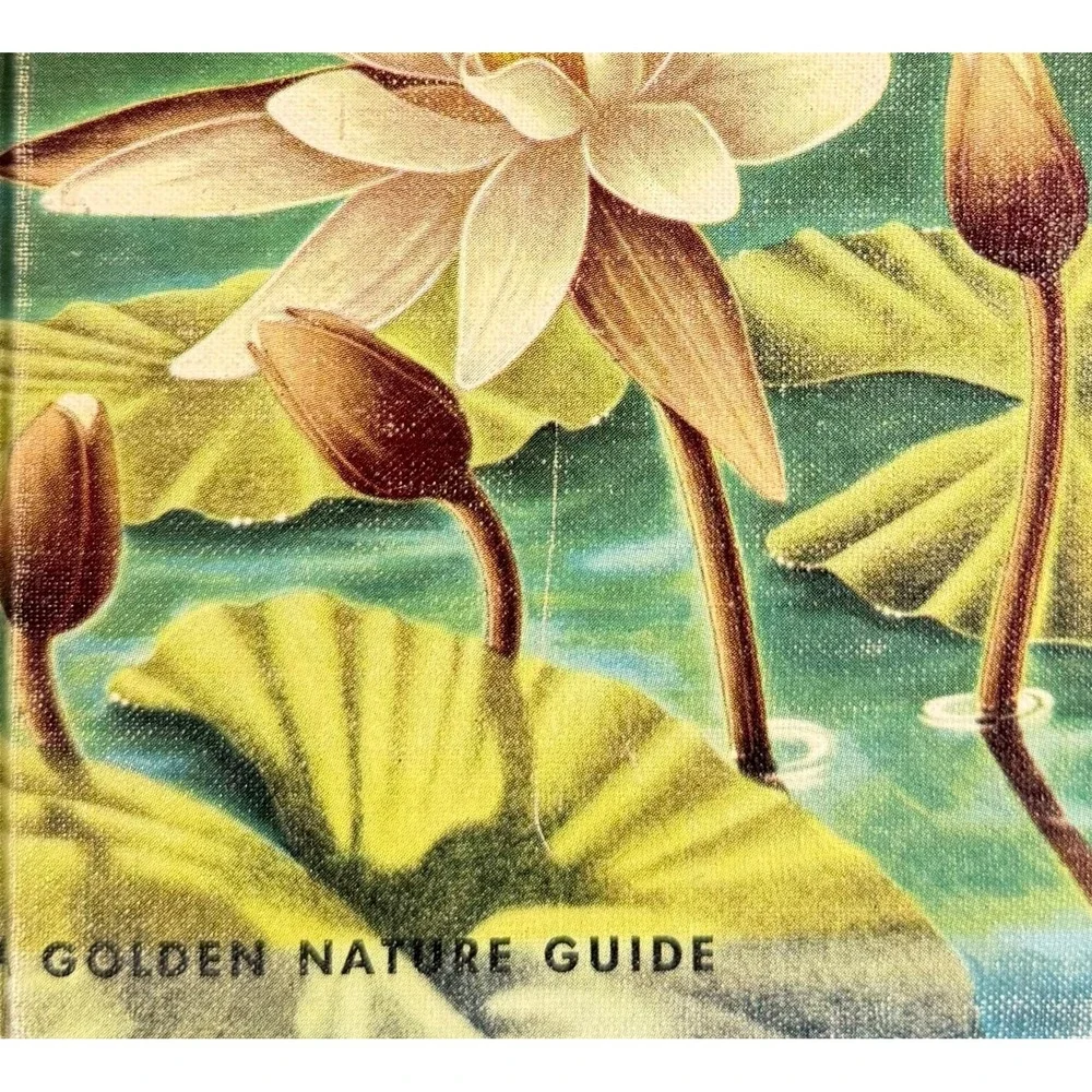 N/A vintage golden